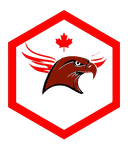 HawkLine Security Services