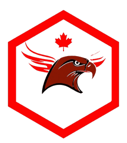 HawkLine Security Services